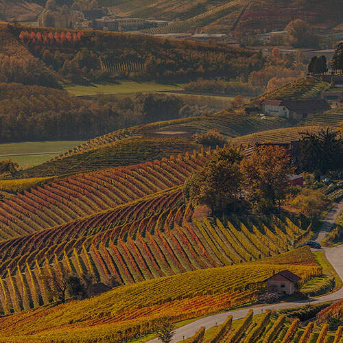 Product Image Pending for Apothic Product Image Pending for Apothic