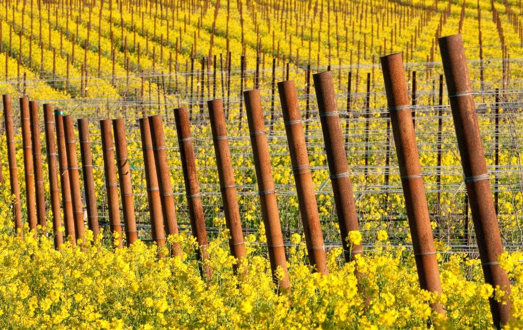 Product Image Pending for Apothic