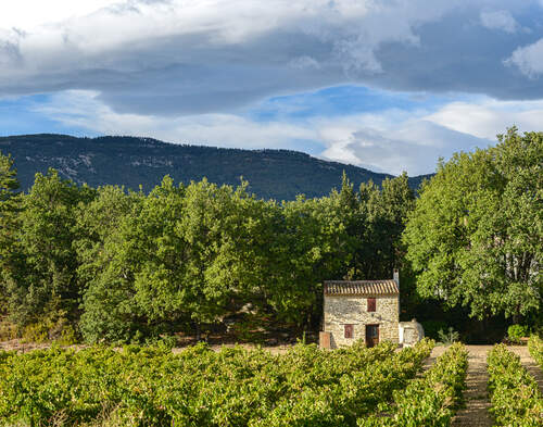 French Winery