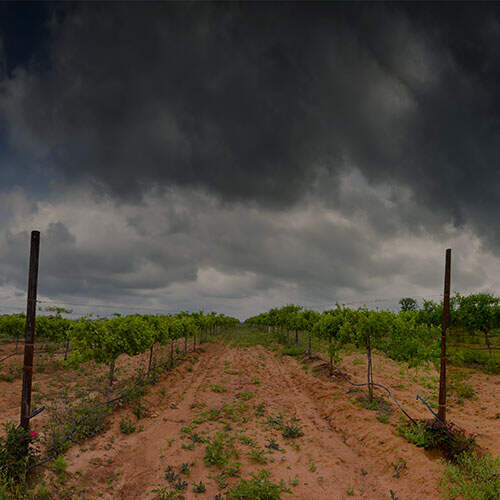 Product Image Pending for Apothic Product Image Pending for Apothic