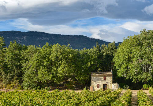 French Winery