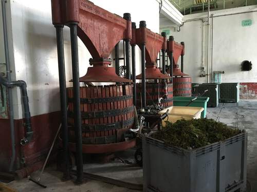 Wine Press
